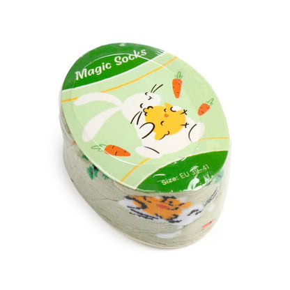 compressed springtime magic socks gift packed showing novelty sock presentation