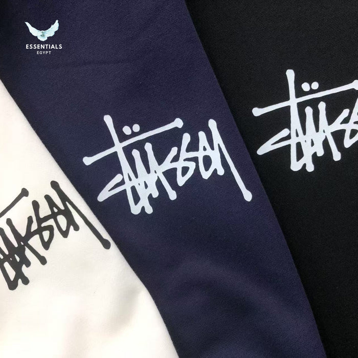 Stussy Basic Hoodie Back