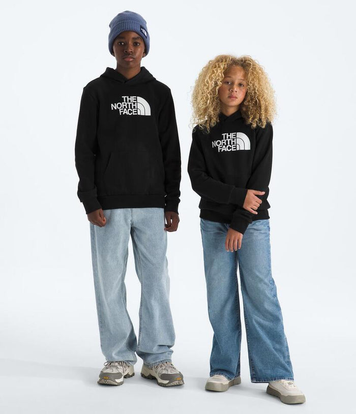 Teen Evolution Half Dome Pullover Hoodie