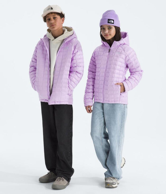Lite Lilac (QZI) / L (12)
