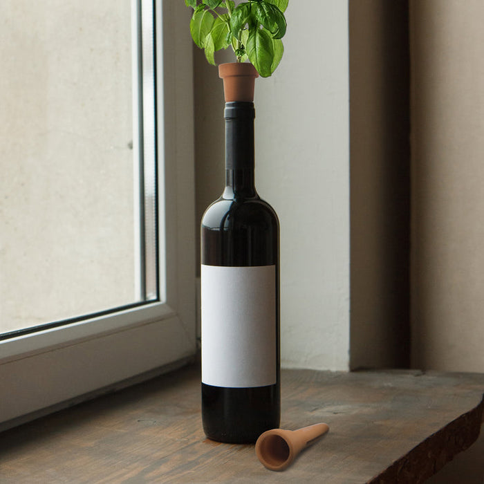 TERRACOTTA BOTTLE HERB GROW KIT
