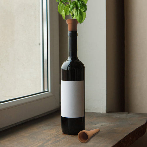 TERRACOTTA BOTTLE HERB GROW KIT