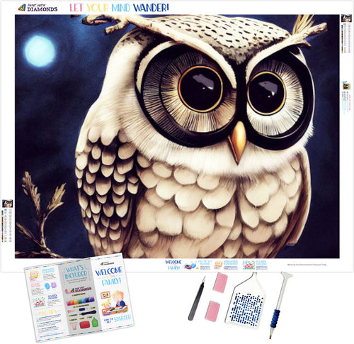 The Wisest Owl