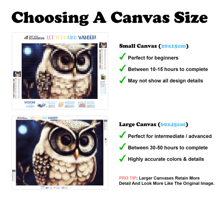 The Wisest Owl