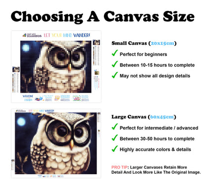 The Wisest Owl