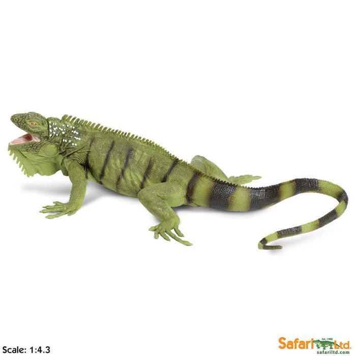 Toy Iguana Figurine by Safari Ltd.:Jungle Bob's Reptile World