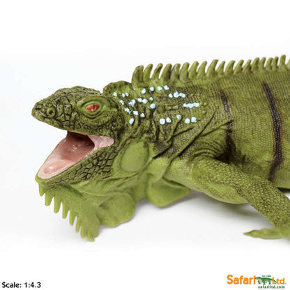 Toy Iguana Figurine by Safari Ltd.:Jungle Bob's Reptile World