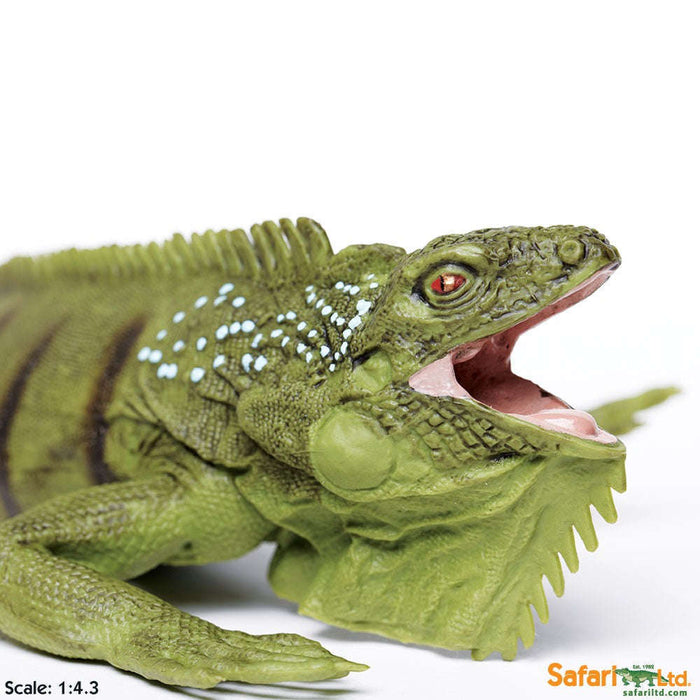Toy Iguana Figurine by Safari Ltd.:Jungle Bob's Reptile World