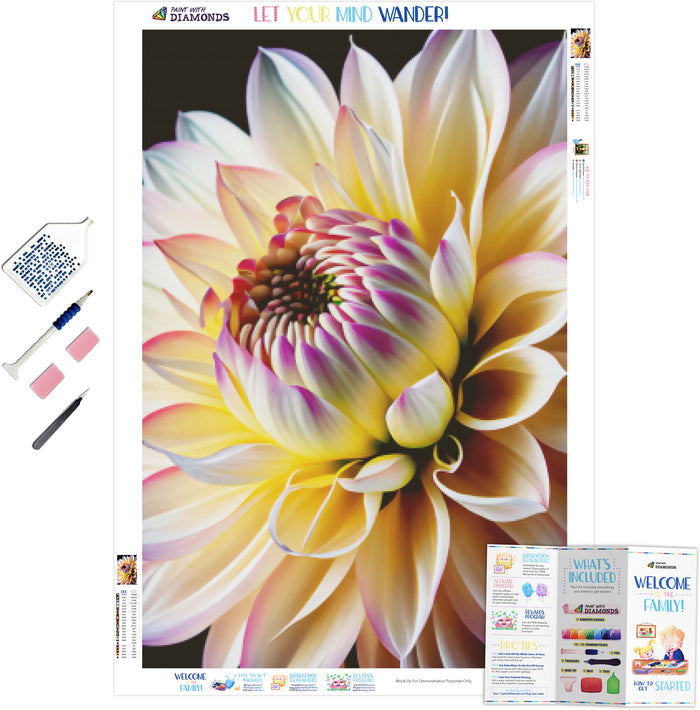 White Dahlia