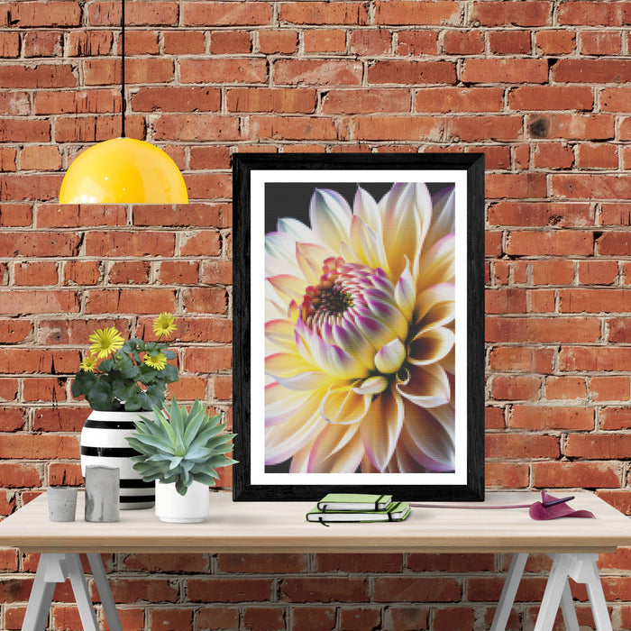 White Dahlia