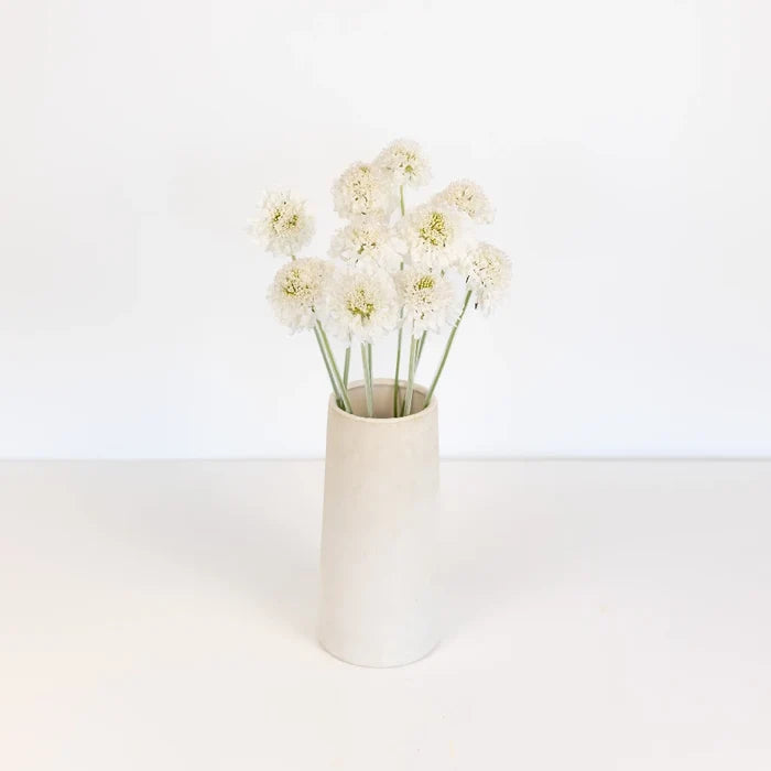 White Scabiosa Flower Vase - Image