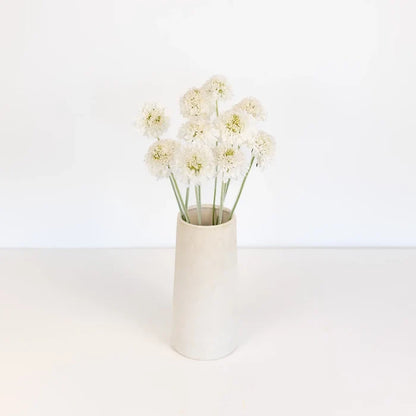 White Scabiosa Flower Vase - Image