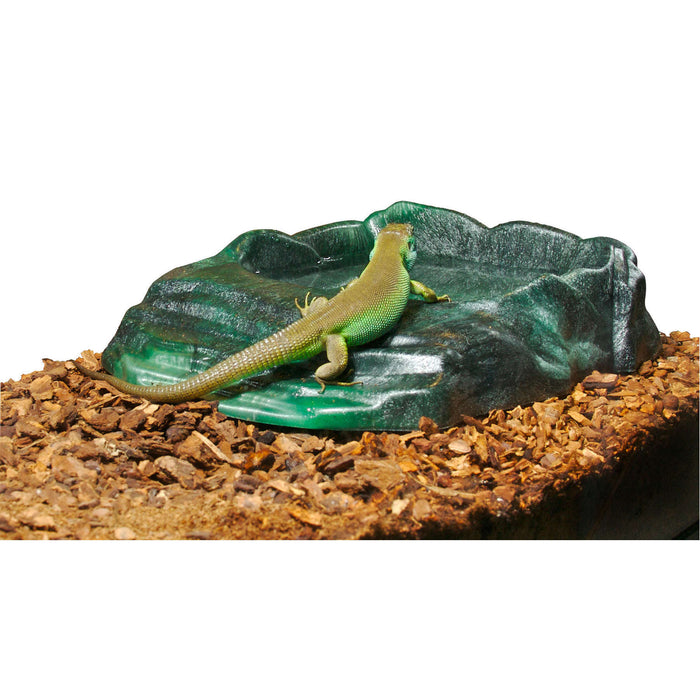 Zoo Med Repti Ramp Water Bowl Feeding Dish:Jungle Bob's Reptile World